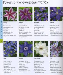 Pnącza i żywopłoty