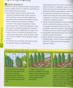 Pnącza i żywopłoty