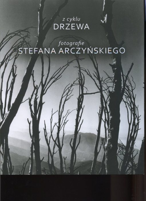 Z cyklu drzewa - Fotografie Stefana Arczyńskiego