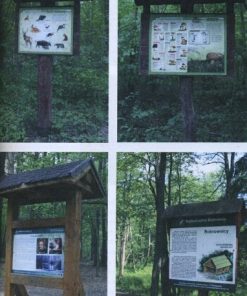 Leśne trasy rekreacyjne