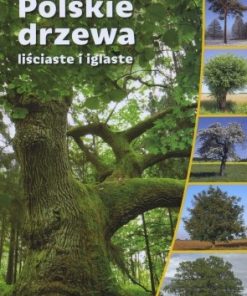 polskie-drzewa-lisciaste-i-iglaste