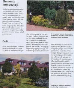 małe-kompozycje-ogrodowe