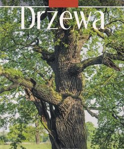 Drzewa - Spotkania z przyrodą