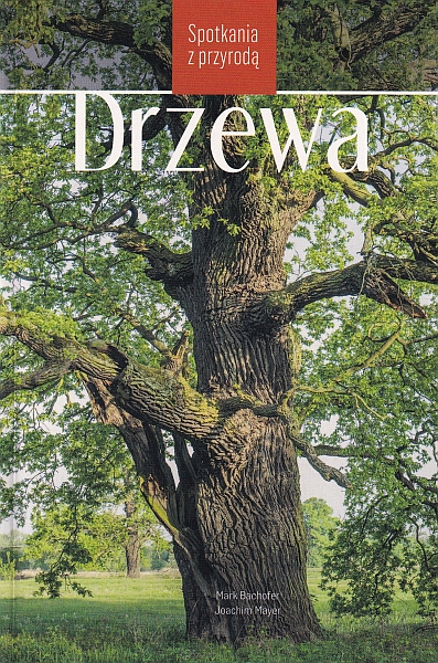 Drzewa - Spotkania z przyrodą 1 Drzewa - Spotkania z przyrodą