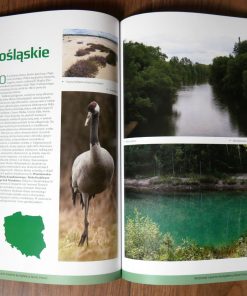 Las wokół nas - Najpiękniejsze puszcze i bory Polski