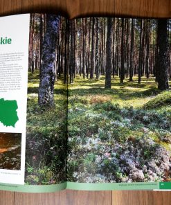 Las wokół nas - Najpiękniejsze puszcze i bory Polski