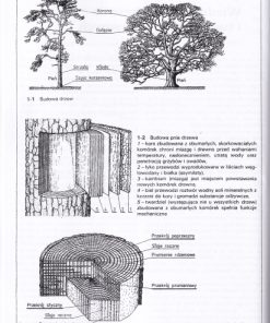 Drewno moje hobby - Reprint