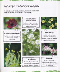 Dzieci projektują ogród