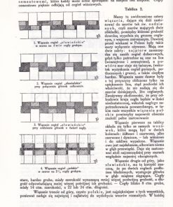 Murarz Polski. Zeszyty I-V. Reprint