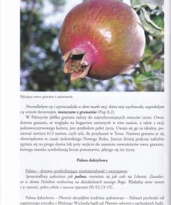 Rośliny biblijne - Ziemia Święta