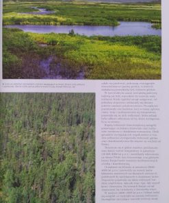Drzewa, krzewy i inne rośliny wokół nas. Najpiękniejsze pomniki przyrody