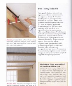 Ty i Twój dom. Boazeria na ścianach i sufitach