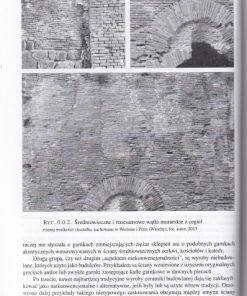 Nietypowe budulce w architekturze – Tom III (Ceramika budowlana)