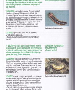 Choroby i szkodniki drzew i krzewów ozdobnych