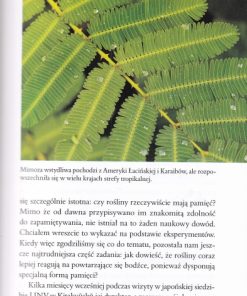 Rewolucyjny geniusz roślin. Jak i dla czego rośliny zmieniają naszą przyszłość