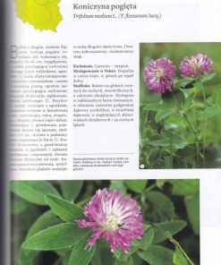 Atlas roślinności lasów