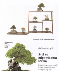 Bonsai - to może być proste