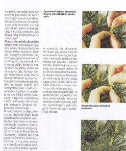 Bonsai - to może być proste