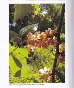 Słownik stereotypów i symboli ludowych