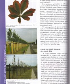 Zielone miasto. Zieleń przy ulicach