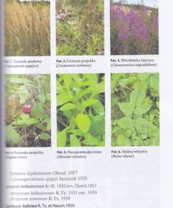 Zbiorowiska roślinne Polski. Lasy i zarośla