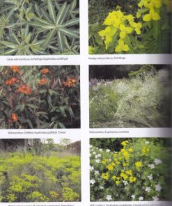 Tworzę ogród naturalny