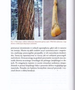 Łuk drewniany - metody wytwarzania