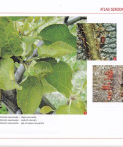 Atlas szkodników drzew owocowych