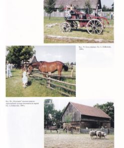 Wielkopolski Park Etnograficzny. Między tradycyjną wsią a teorią i praktyką skansenologiczną