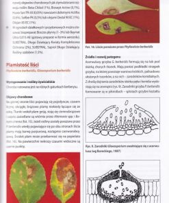 Choroby ozdobnych krzewów liściastych i pnączy