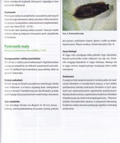 Szkodniki ozdobnych krzewów liściastych i pnączy