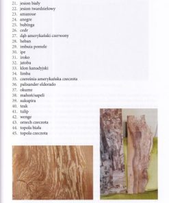 Sztuka malowania drewnem. Intarsje Piotra Biernata. Suplement