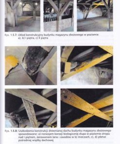 Dachy, stropodachy, tarasy. Remonty i wzmacnianie