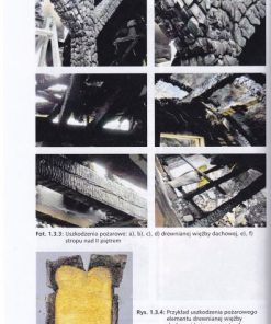 Dachy, stropodachy, tarasy. Remonty i wzmacnianie