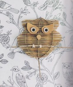 Wiklina. Piękne rzeczy, które wypleciesz sam(a)