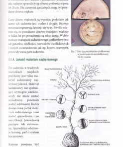 Sadzenie i przesadzanie drzew i krzewów. Dobór drzew do miasta wobec zmian klimatycznych - Poradnik profesjonalisty