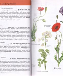 Jaka to roślina? Ilustrowany przewodnik do rozpoznawania