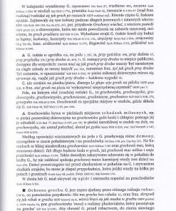 Słownik stereotypów i symboli ludowych II – Rośliny (warzywa, przyprawy, rośliny przemysłowe)