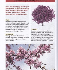 Krzewy i drzewa ozdobne- Praktyczny poradnik