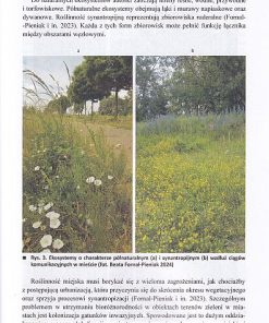 Wyzwania współczesnych miast: człowiek-zieleń-woda