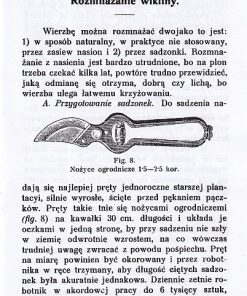 Uprawa wierzby koszykarskiej