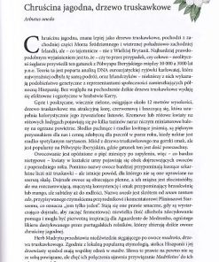 Dookoła świata 80 drzew