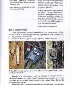 Pielęgnowanie drzew starszych i co dalej?