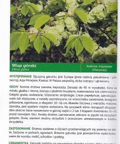 Kieszonkowy atlas drzew i krzewów