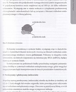 Zarys struktury i filozofii drzew lesnych 1