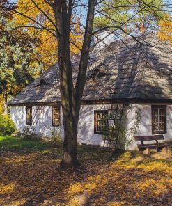 Skanseny w Polsce 4 Skanseny w Polsce